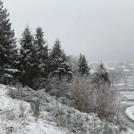 Avec 2 Et Sejour Balcon Plein Sud Et Vue Panoramique 180 A App 103 Daire *